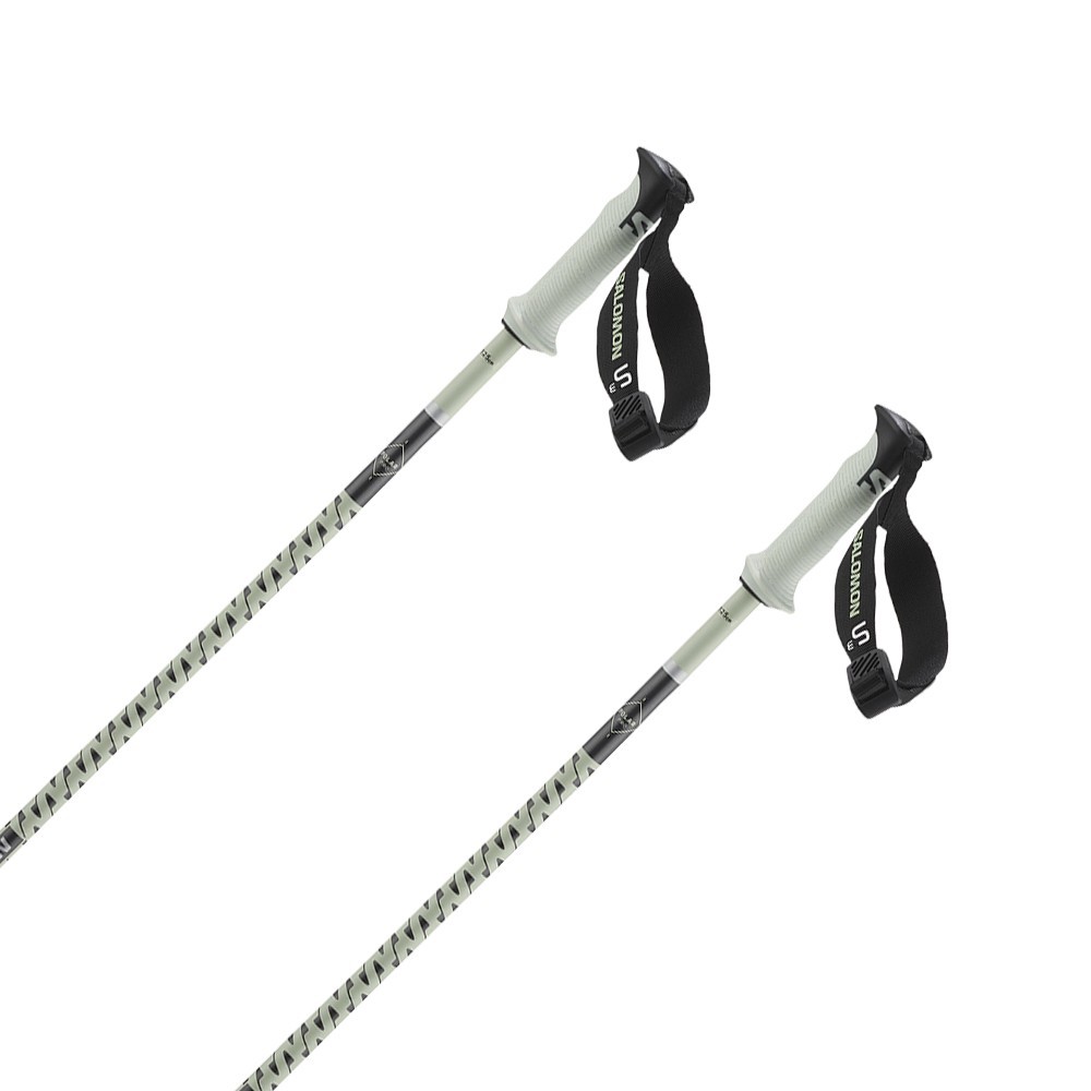 Kijki narciarskie Salomon POLAR PRO S3 White Moss 2027