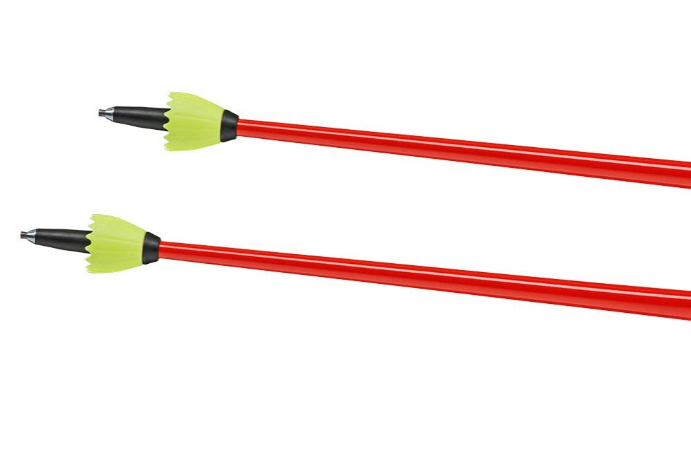Kijki narciarskie Leki WCR Pro GS TR 2027
