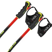 Kijki narciarskie Leki WCR Evo Lite GS TR 2027