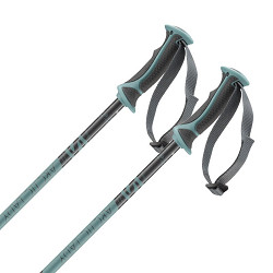Kijki narciarskie damskie Salomon Arctic Lady Grey Green