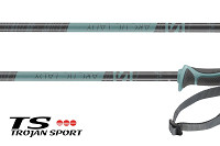 Kijki narciarskie damskie Salomon Arctic Lady Grey Green