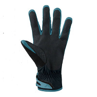 Rękawice Dynafit Mercury Dynastretch Blueberry Storm Blue 2026