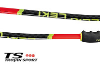 Kijki narciarskie Leki WCR TBS GS 3D 2026