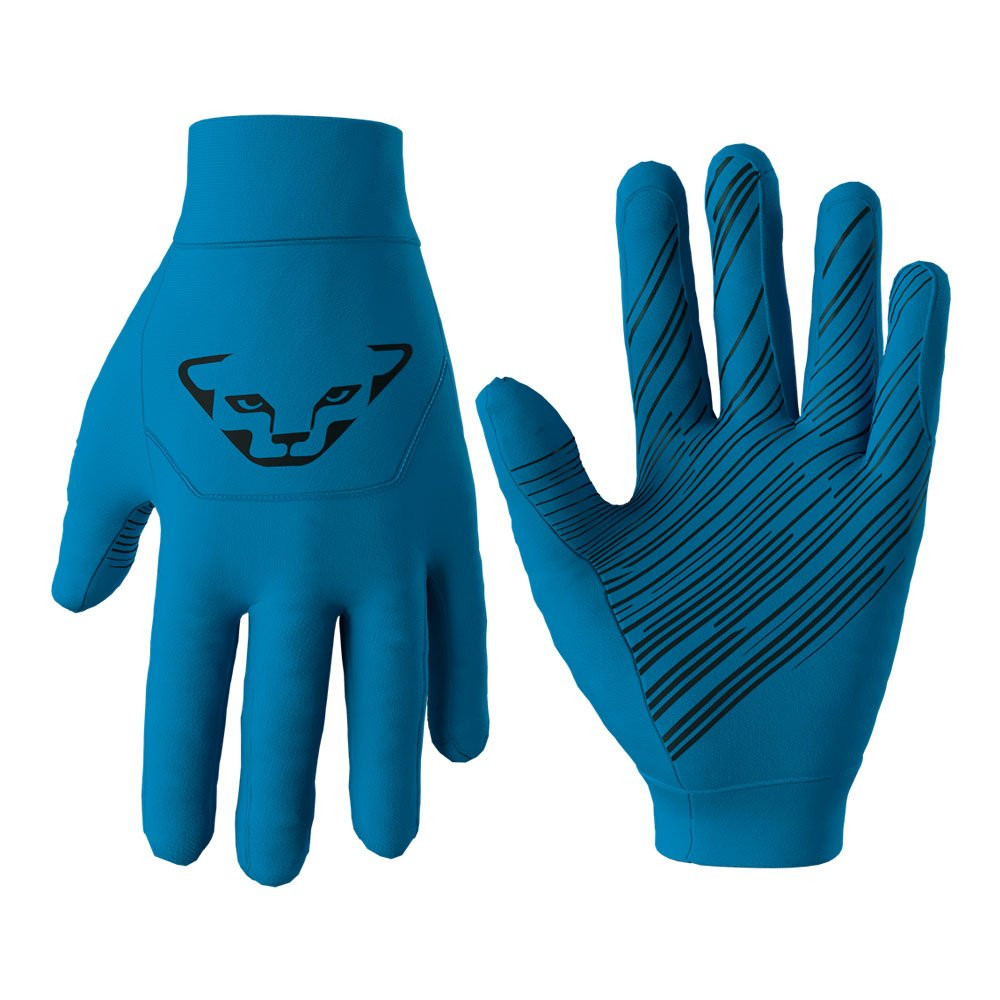 Rękawice Dynafit Upcycled Speed Methyl Blue 2026