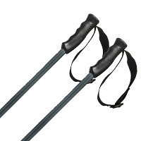 Kijki narciarskie Head Multi Grey 2026