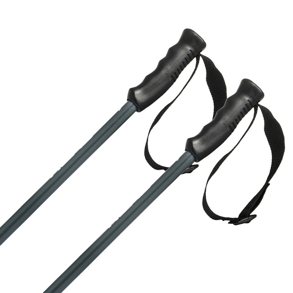 Kijki narciarskie Head Multi Grey 2026