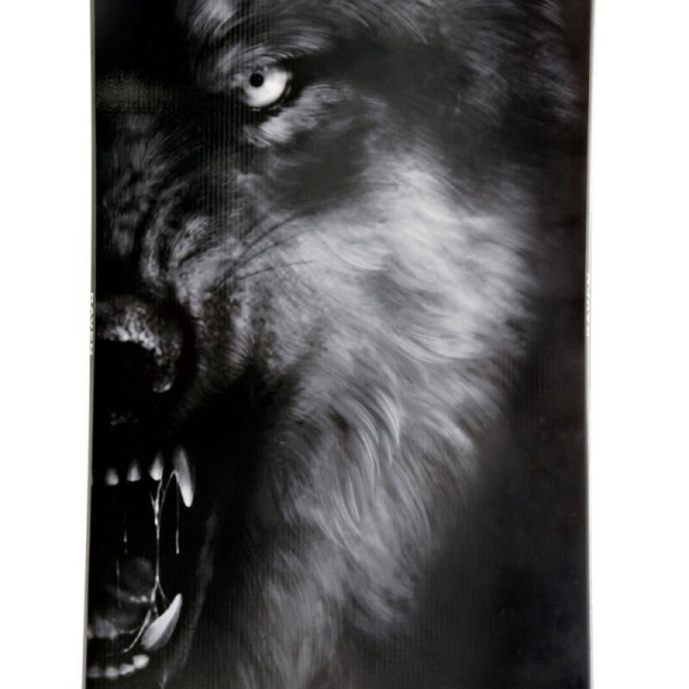 Zestaw Snowboardowy Raven Lupus + Raven Fastec FTM450 Black 2027