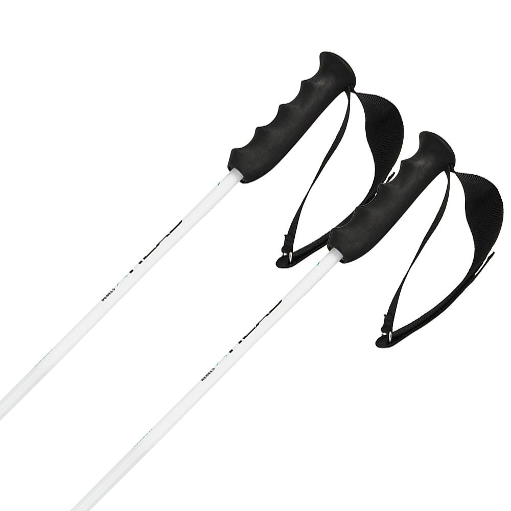 Kijki narciarskie Head Worldcup Rebels Carbon White 2027