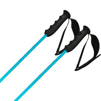 Kijki narciarskie Head Worldcup Rebels Carbon Speed Blue 2027
