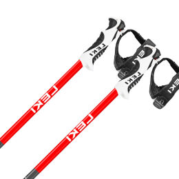 Kijki narciarskie Leki Bold S Grey Red 2024