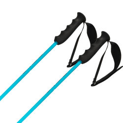 Kijki narciarskie Head Worldcup Rebels Carbon Speed Blue 2026