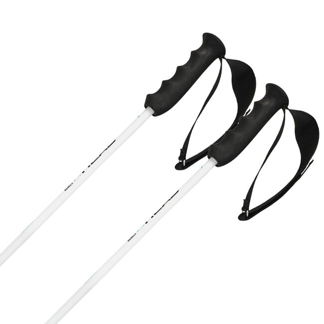 Kijki narciarskie Head Worldcup Rebels Carbon White 2026