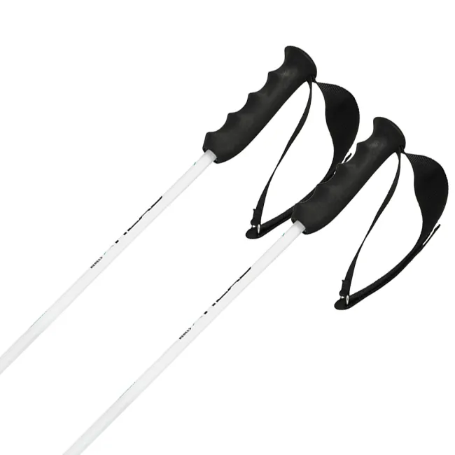 Kijki narciarskie Head Worldcup Rebels Carbon White 2026