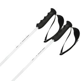 Kijki narciarskie Head Worldcup Rebels Carbon White 2026