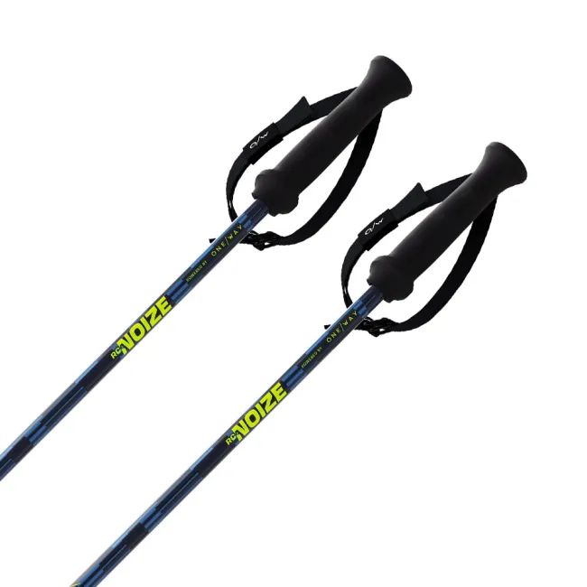 Kijki narciarskie Fischer RC4 Noize 2026